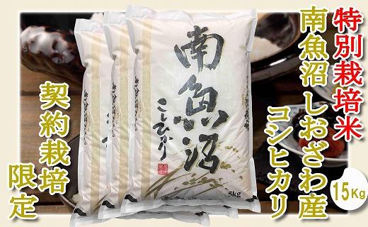 【令和7年産】【精米１５Kg】特別栽培 生産者限定  南魚沼しおざわ産コシヒカリ【2025年10月上旬より順次発送予定】
