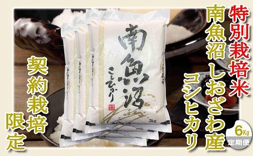 【令和7年産】【定期配送６Kg×３ヶ月】特別栽培 生産者限定  南魚沼しおざわ産コシヒカリ【2025年10月上旬より順次発送予定】