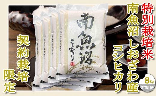 【令和7年産】【定期配送８Kg×１２ヶ月】特別栽培 生産者限定  南魚沼しおざわ産コシヒカリ【2025年10月上旬より順次発送予定】