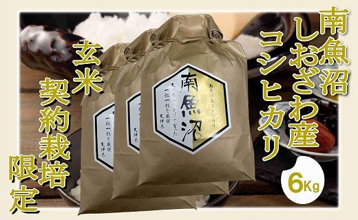 【令和7年産】【玄米６Kg】●玄米● 生産者限定 南魚沼しおざわ産コシヒカリ【2025年10月上旬より順次発送予定】