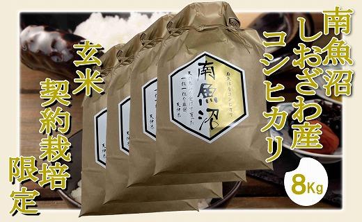 【令和7年産】【玄米８Kg】●玄米● 生産者限定 南魚沼しおざわ産コシヒカリ【2025年10月上旬より順次発送予定】