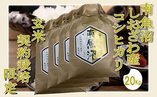 【令和7年産】【玄米２０Kg】●玄米● 生産者限定 南魚沼しおざわ産コシヒカリ【2025年10月上旬より順次発送予定】