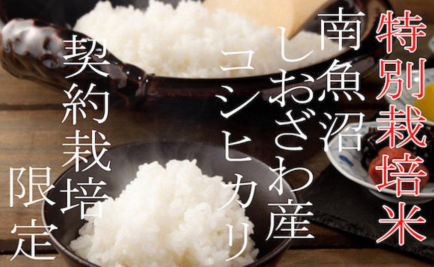 【令和7年産】【定期配送4Kg×6ヶ月】特別栽培 生産者限定  南魚沼しおざわ産コシヒカリ【2025年10月上旬より順次発送予定】