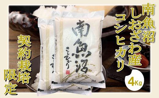 【令和7年産】【精米4Kg】契約栽培限定 南魚沼しおざわ産コシヒカリ【2025年10月上旬より順次発送予定】