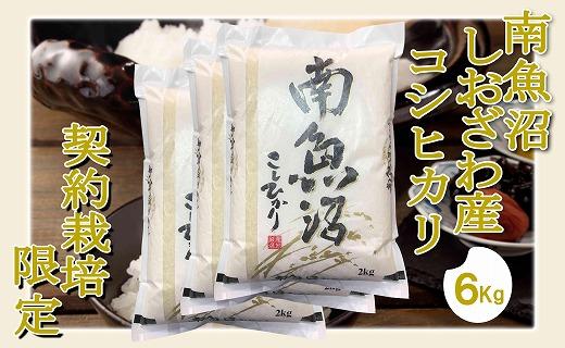 【令和7年産】【精米6Kg】契約栽培限定 南魚沼しおざわ産コシヒカリ【2025年10月上旬より順次発送予定】