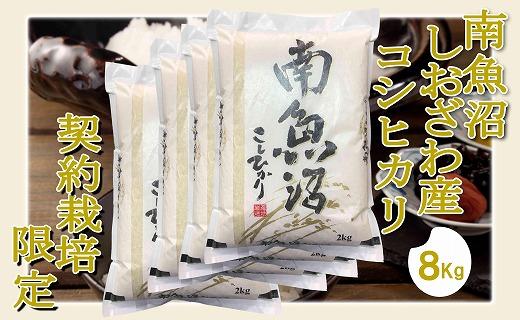 【令和7年産】【精米8Kg】契約栽培限定 南魚沼しおざわ産コシヒカリ【2025年10月上旬より順次発送予定】