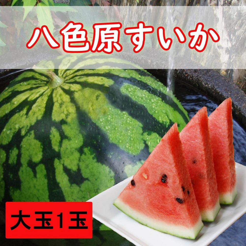 【先行予約】八色原西瓜 大玉1玉【2026年7月下旬発送】【お届け日時指定不可】