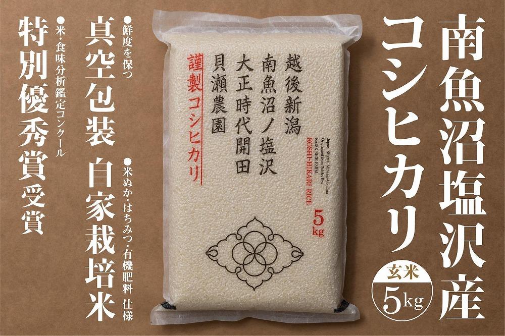 【令和7年産】「貝瀬農園米」農薬5割減栽培　南魚沼塩沢産コシヒカリ　玄米5kg