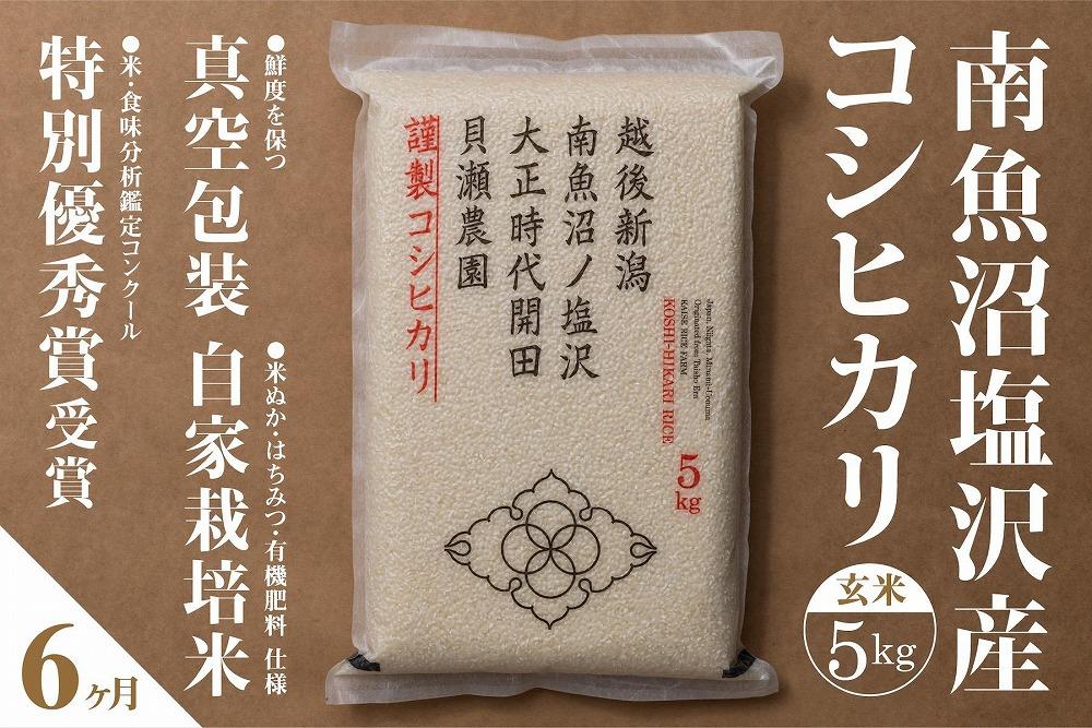 【令和7年産】【定期便】「貝瀬農園米」農薬5割減栽培　南魚沼塩沢産コシヒカリ　玄米5kg×全6回