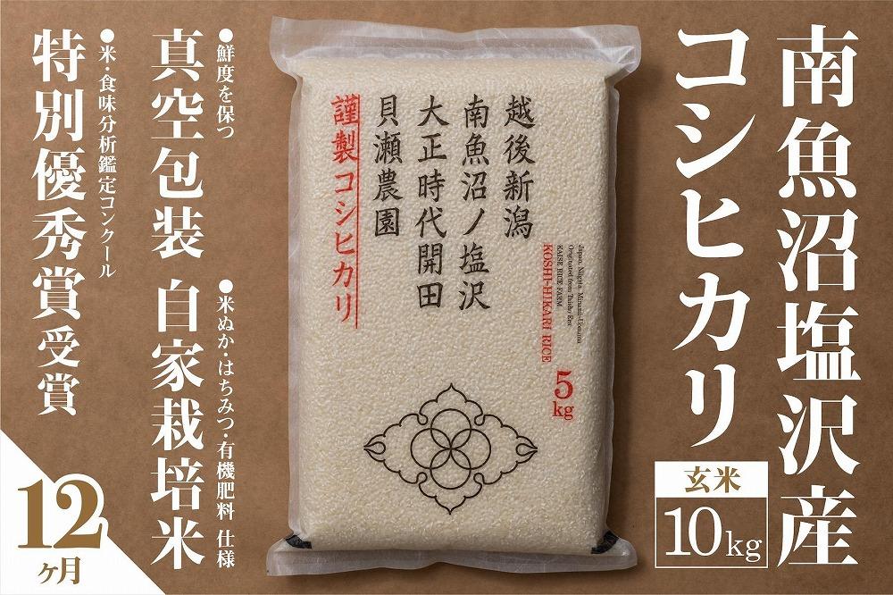【令和7年産】【定期便】「貝瀬農園米」農薬5割減栽培　南魚沼塩沢産コシヒカリ　玄米10kg(5kg×2個)×全12回