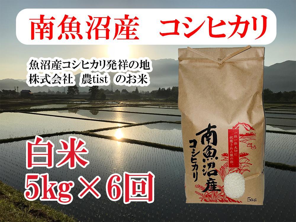 【令和7年産】【定期便 南魚沼産】コシヒカリ 白米5kg×6回【2025年9月中旬より順次発送予定】