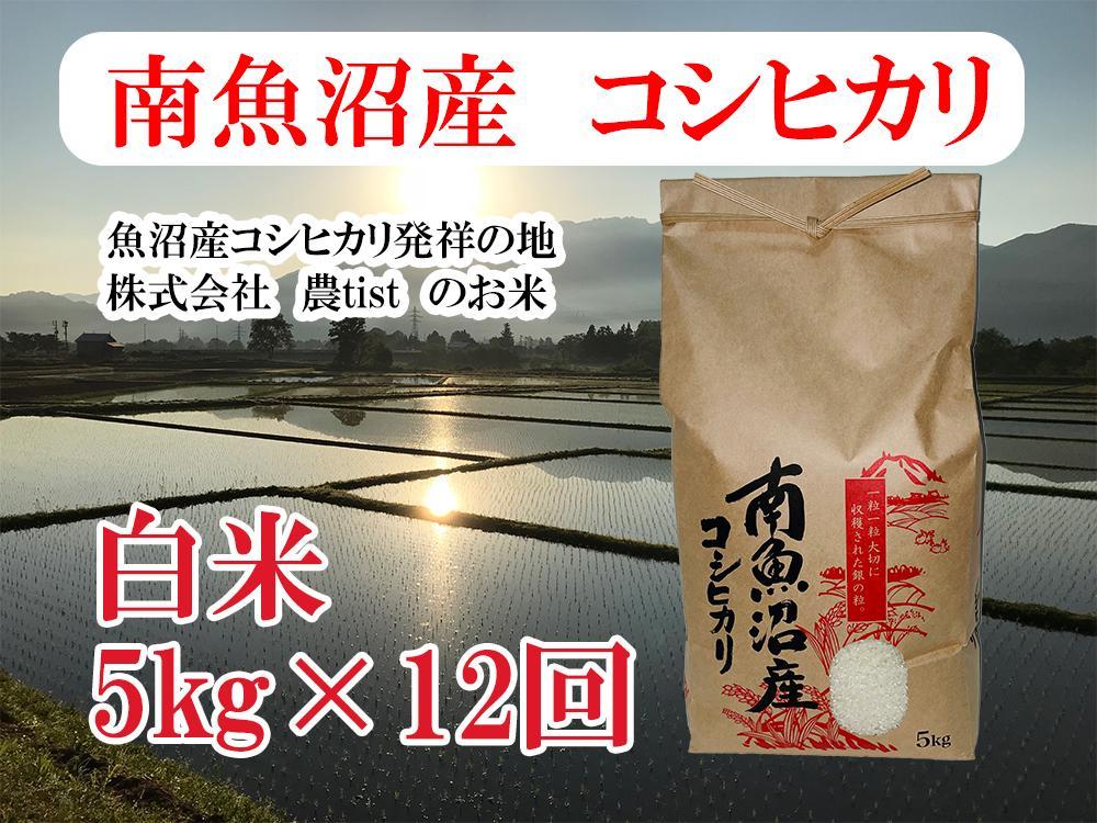 【令和7年産】【定期便 南魚沼産】コシヒカリ 白米5kg×12回【2025年9月中旬より順次発送予定】