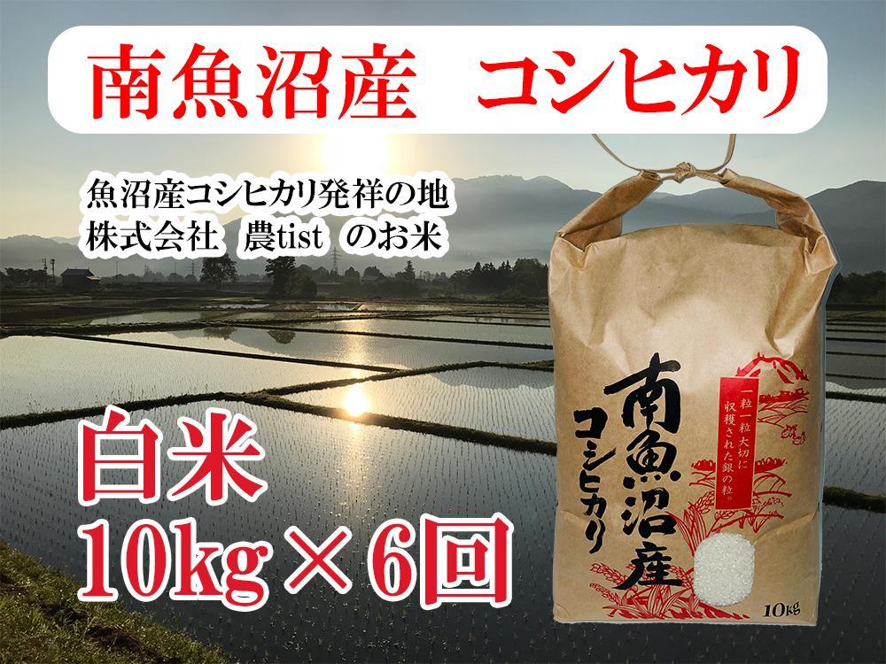 【令和7年産】【定期便 南魚沼産】コシヒカリ 白米10kg×6回【2025年9月中旬より順次発送予定】