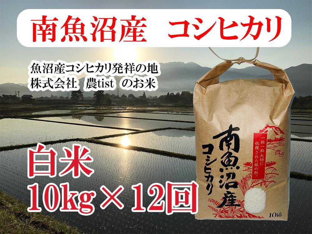 【令和7年産】【定期便 南魚沼産】コシヒカリ 白米10kg×12回【2025年9月中旬より順次発送予定】