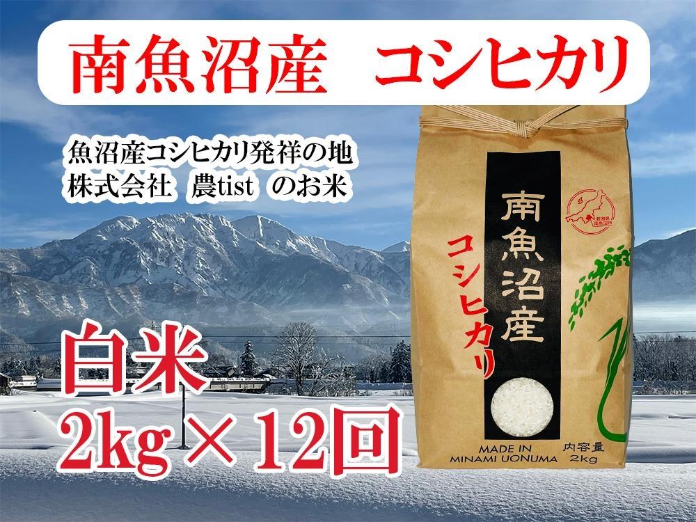 【令和7年産】【定期便 南魚沼産】コシヒカリ 白米2kg×12回【2025年9月中旬より順次発送予定】