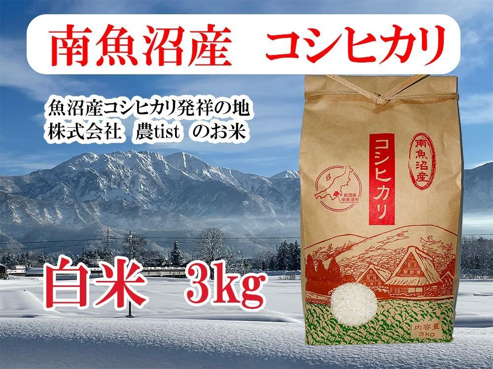 【令和7年産】【南魚沼産】コシヒカリ 白米3kg