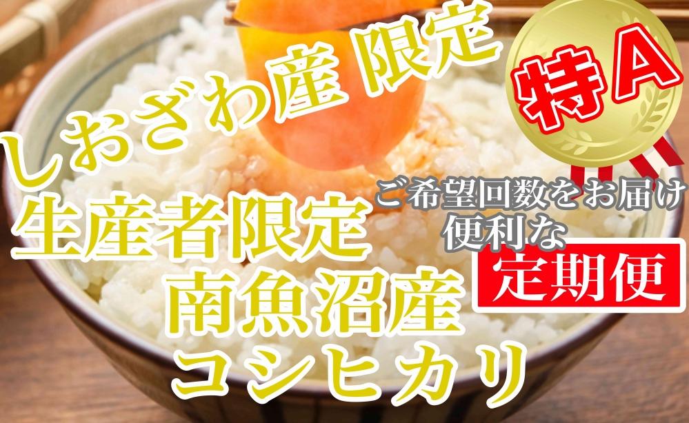 【令和7年産】【定期便8kg×6ヶ月】しおざわ産限定 生産者限定 南魚沼産コシヒカリ【2025年10月上旬より順次発送予定】