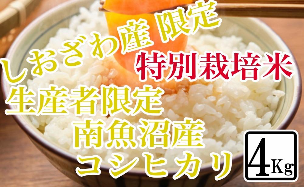 【令和7年産】【精米4kg】特別栽培 しおざわ産限定 生産者限定 南魚沼産コシヒカリ【2025年10月上旬より順次発送予定】