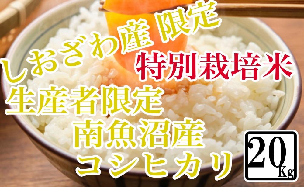 【令和7年産】【精米20kg】特別栽培 しおざわ産限定 生産者限定 南魚沼産コシヒカリ【2025年10月上旬より順次発送予定】