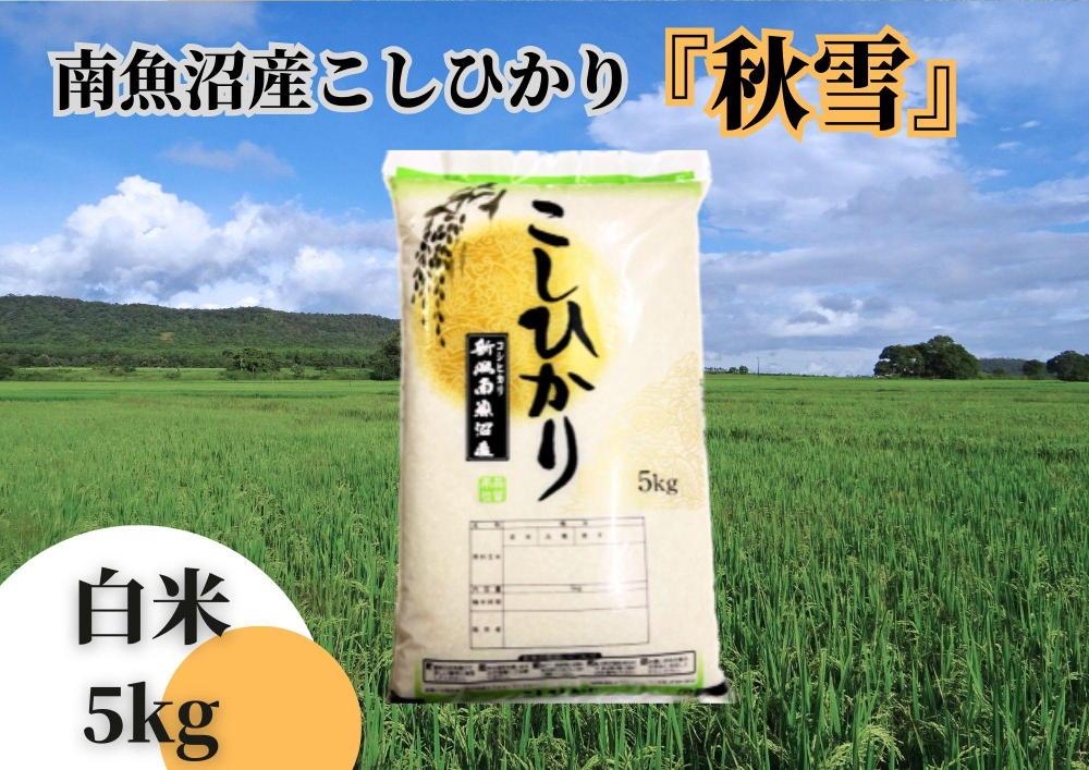 【12月20日ご入金確認分まで年内発送】【令和7年産 新米】南魚沼産こしひかり「秋雪」白米５ｋｇ 新潟県の特A地区南魚沼市の美味しいお米