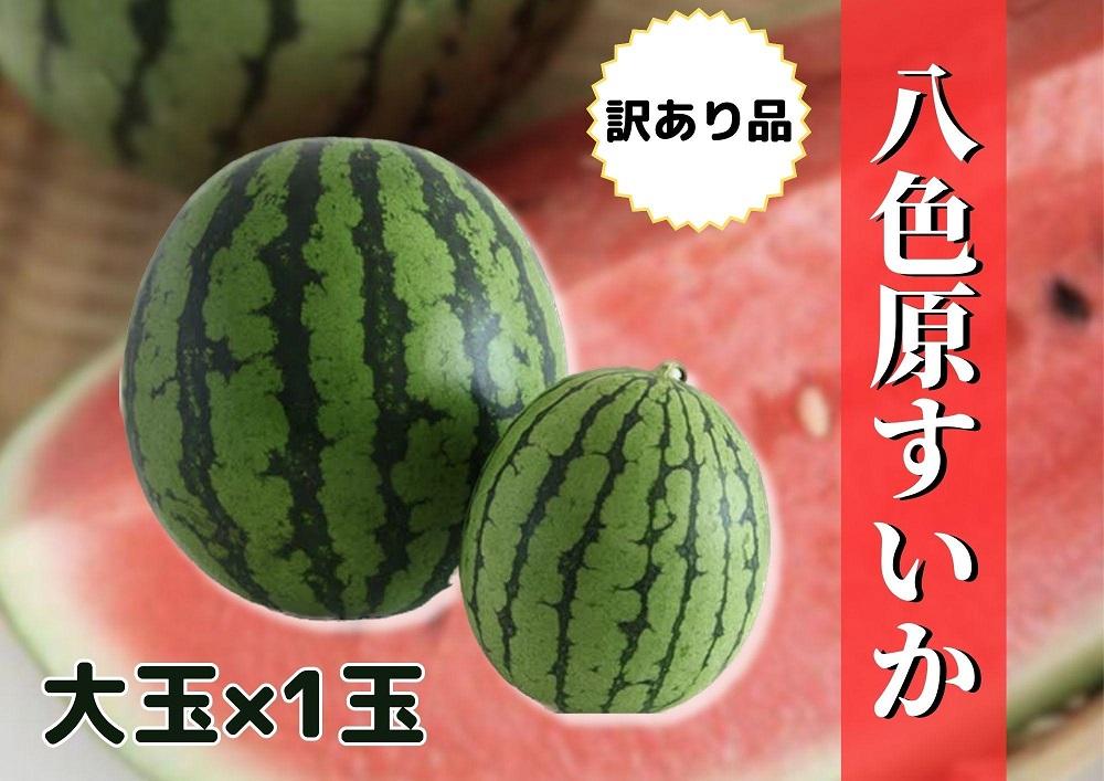 先行予約【新潟県南魚沼産】【わけあり】八色原スイカ 大玉１玉【2026年7月下旬発送】【お届け日時指定不可】