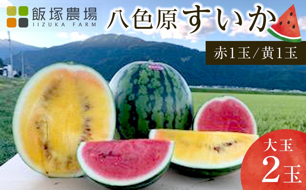 【夏季限定】飯塚農場産の八色原すいか　大玉2玉（赤1玉・黄1玉）セット【2026年7月下旬より順次発送予定】