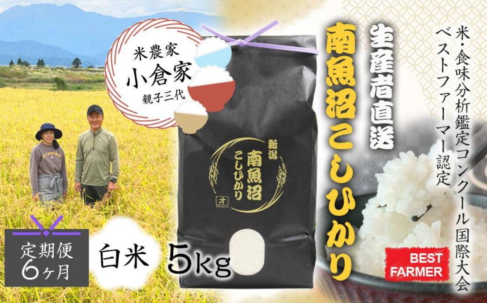 【生産者直送】【定期便６ヶ月】【令和７年産 】南魚沼産こしひかり5kg×全6回　合計30kg  白米  オグライスファーム＜コシヒカリ 精米 農家直送＞