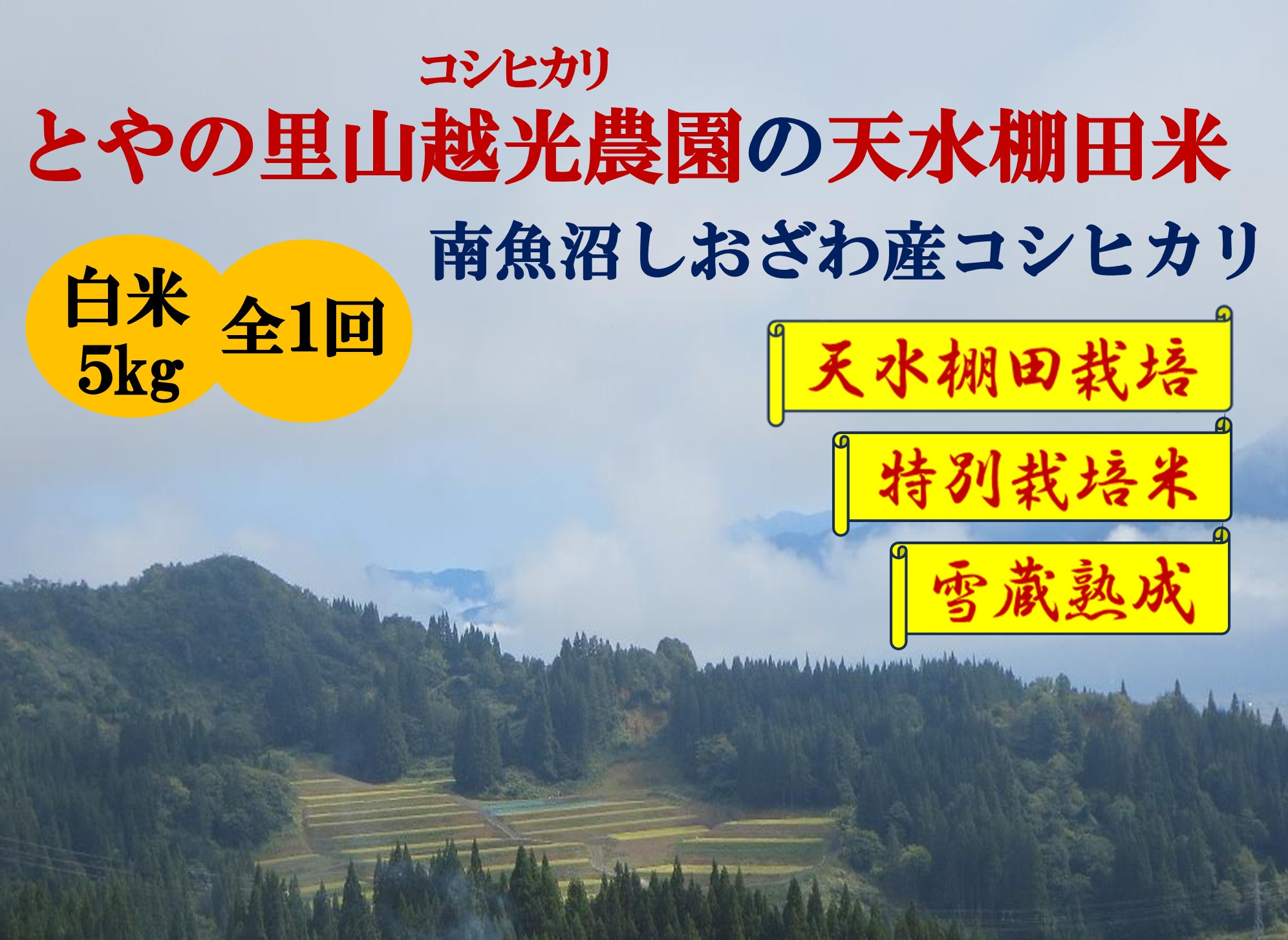 令和7年産【とやの里山越光農園の天水棚田米】特別栽培米雪蔵熟成しおざわ産コシヒカリ　精米5kg全1回　【2025年12月下旬より発送】