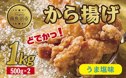 どでか味付けから揚げ うま塩味 500g×2パック 計1kg 大容量 唐揚げ からあげ から揚げ しお 塩 揚げ物 冷凍 惣菜 簡単 調理 肉 おかず 味付き 野崎フーズ 新潟県 南魚沼市