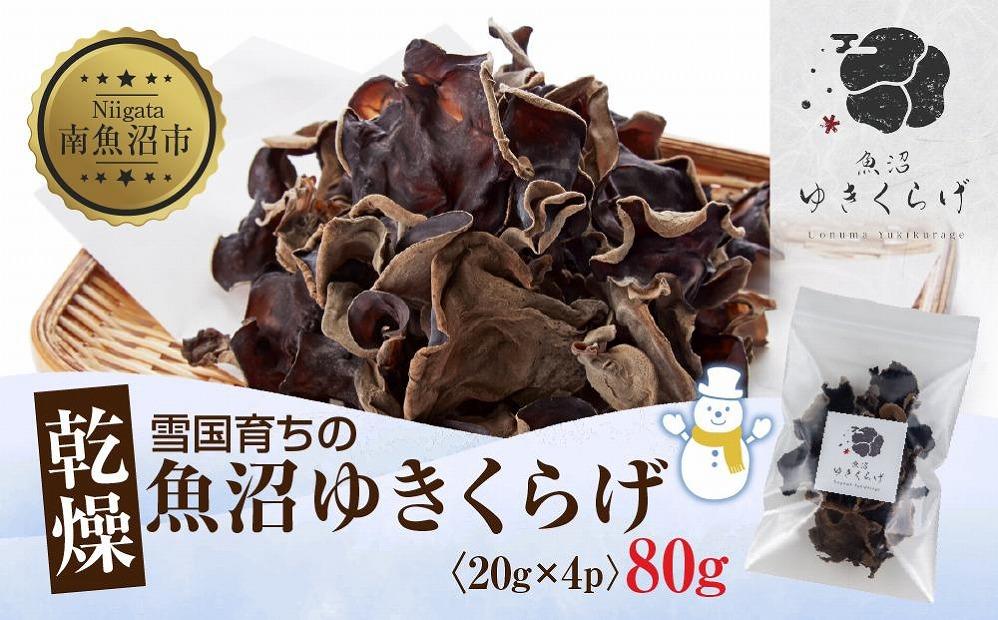 国産 乾燥 きくらげ 20g×4パック 計80g 小分け 栄養豊富 無農薬 無添加 オーガニック 自家栽培 雪国 魚沼ゆきくらげ