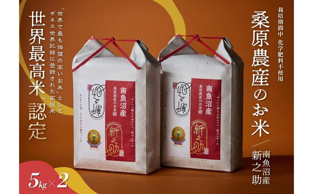 【R7年産新米】ギネス世界記録「世界最高米」認定 最高級南魚沼産新之助10kg(5kg×2) 桑原農産のお米