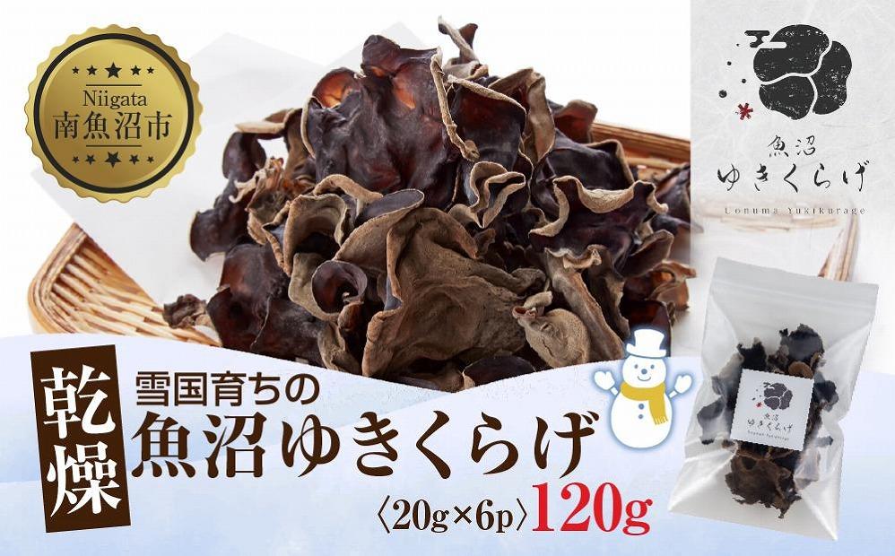 国産 乾燥 きくらげ 20g×6パック 計120g 小分け 栄養豊富 無農薬 無添加 オーガニック 自家栽培