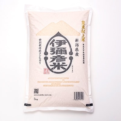 【伊彌彦米とパックごはんセット】精米5kg×2袋 パックごはん4パック ブランド米 新潟県 弥彦村