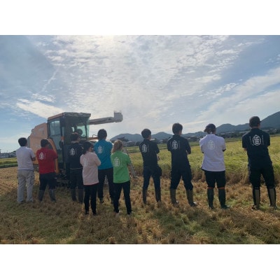 令和7年産「伊彌彦米 零(ぜろ)」玄米10kg(5kg×2袋) 農薬・化学肥料不使用 新潟県 弥彦村