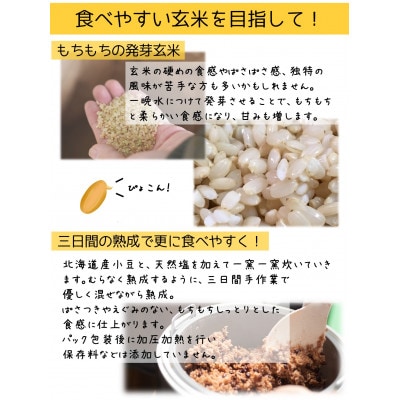 熟成3日 発芽玄米ご飯 パックご飯 6個(3パック×2セット) コシヒカリで作った酵素玄米