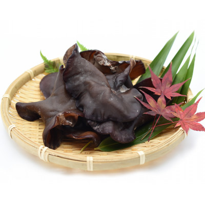 新潟県弥彦村産　越のうさぎ 　生きくらげ250g×2、乾燥きくらげ25g×3　詰め合せセット【配送不可地域：離島】