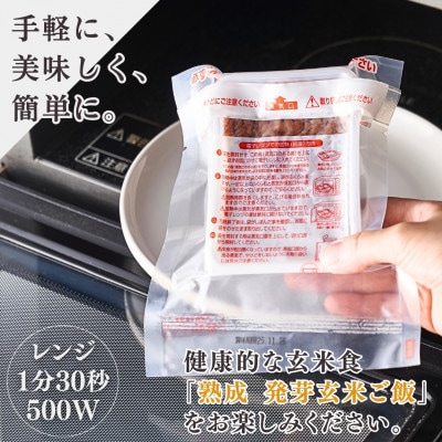 熟成3日 発芽玄米ご飯 パックご飯 6個(3パック×2セット) コシヒカリで作った酵素玄米
