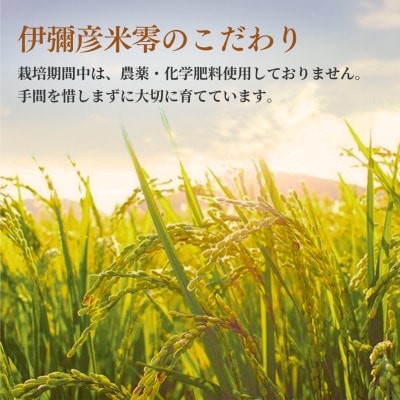 【伊彌彦米零玄米パックごはん】皇室献上米　150g入り×12パック