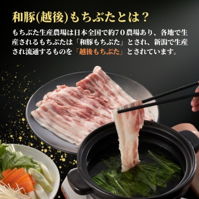 越後もちぶたロース薄切り1kg(500g×2パック)【配送不可地域：離島】