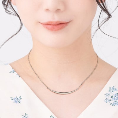 純チタンバーネックレス(カーブプレート)42cm