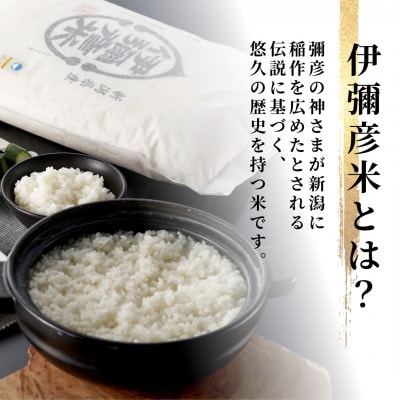 【お試し】令和7年産 特別栽培米コシヒカリ「伊彌彦米」精米 2kg 新潟県産弥彦村
