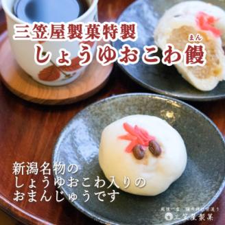 【弥彦名物】きんぴらだんごとしょうゆおこわ饅の詰合せ(12個入り)【配送不可地域：離島】