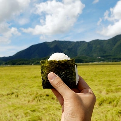 【令和7年産・皇室献上米 伊彌彦米コシヒカリ】玄米30kg　(2018年新嘗祭献上) 新潟県 弥彦村