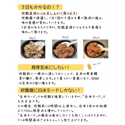 お家で簡単!【 熟成玄米ご飯(酵素玄米) 】手作りセット　3合パック×6個　新潟県弥彦村産コシヒカリ