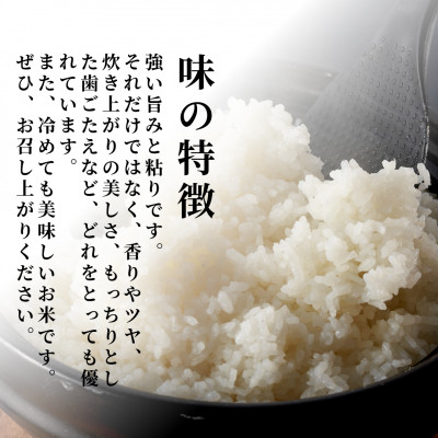 令和7年 特別栽培米コシヒカリ「伊彌彦米」30kg(5kg×6袋)新潟県産 精米 弥彦村