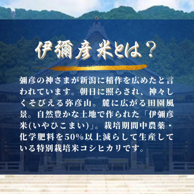 【彌彦神社奉納祭献上】「伊彌彦米」令和7年産特別栽培米弥彦コシヒカリ 新潟県 弥彦村