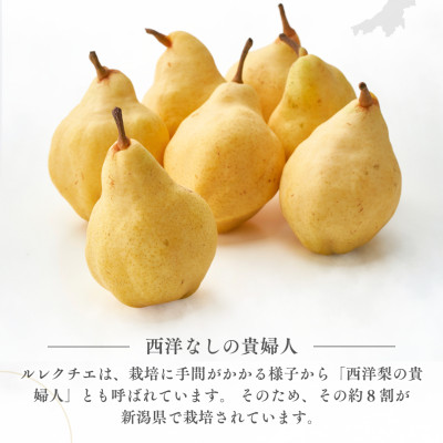 弥彦産「西洋なしの貴婦人」ルレクチエ　5～7玉(2kg) 新潟県 弥彦村【配送不可地域：離島・北海道・沖縄県・中国・四国・九州】