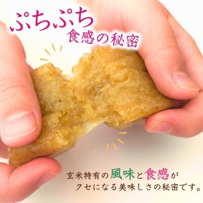 ぷちぷち食感がたまらない「発芽玄米餅」　10袋　新潟県弥彦村産「こがねもち」100%使用
