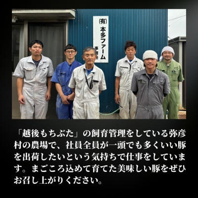 越後もちぶたこま切れ肉3kg(300g×10パック)【配送不可地域：離島】