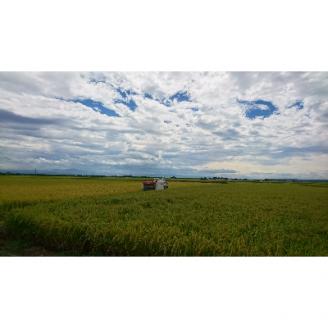 令和7年産特別栽培米コシヒカリ「伊彌彦米」5kg